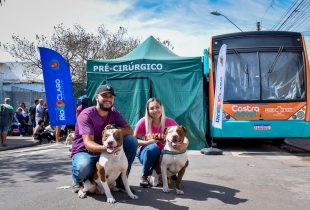 Rio Claro realizou castração gratuita de animais no fim de semana