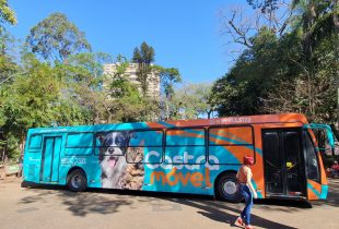 Rio Claro inicia neste sábado e domingo castração de animais agendados