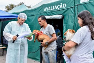 Cadastro para castração de animais no Terra Nova vai até sexta-feira