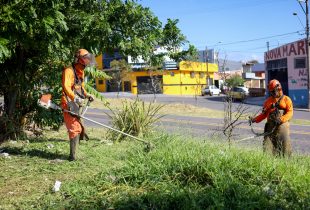 Prefeitura faz mutirão no Jardim Guanabara nesta quarta-feira
