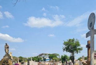 Lavagem de túmulos está proibida em Rio Claro
