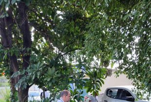 Combate à dengue recolhe mais de 40 pneus descartados irregularmente