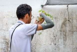 Rio Claro tem mais de 4 mil casos de dengue neste ano