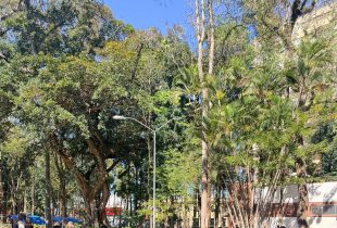 Cena ao Vento termina neste sábado com teatro de rua no Jardim Público